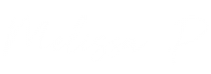 logo w2x 300x105.png